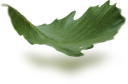 bg-1